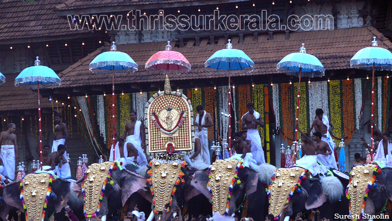 thrissur-pooram-2011- (66)